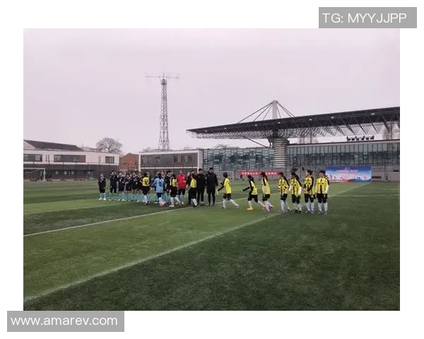 中东王牌足球球星闪耀绿茵场引领球队书写辉煌新篇章