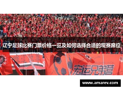 辽宁足球比赛门票价格一览及如何选择合适的观赛席位